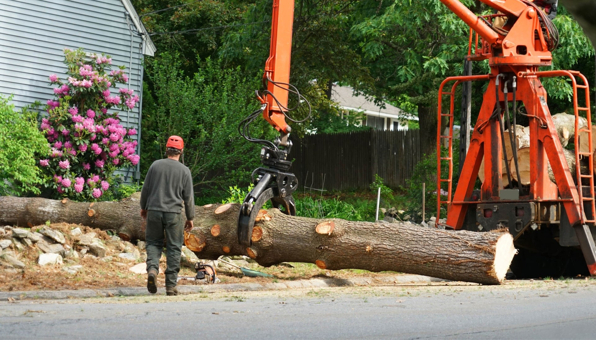 Local partner for Tree removal services in Englewood